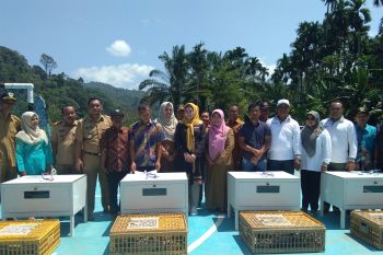Pesisir Selatan salurkan 1.420 ekor itik petelur kepada 71 keluarga petani