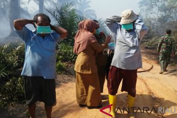 Jerebu selimuti Dumai, BPBD: 7 titik baru Karhutla seluas 32,5 hektare