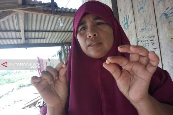 Warga Kampung Nelayan Lampung Timur Temukan Kerang Mutiara