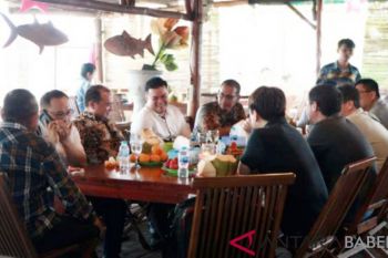 Pemprov Babel gandeng investor Jepang-Thailand kelola mineral ikutan