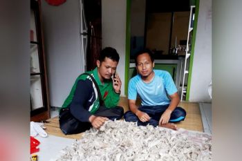 Barito Utara kembali  berlakukan pajak sarang burung walet