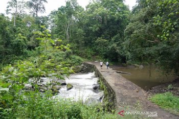 Belajar antigolput dari warga Selagolong kaki Gunung Rinjani