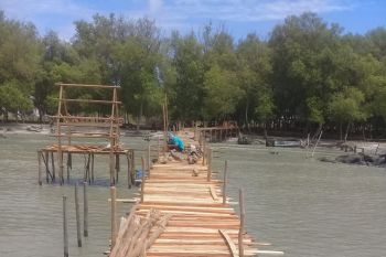 Festival Mancing digelar di Desa Margasari Lampung Timur pada Senin