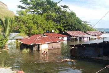 Warga Sentani harapkan Freeport bantu perbaiki rumah korban bencana