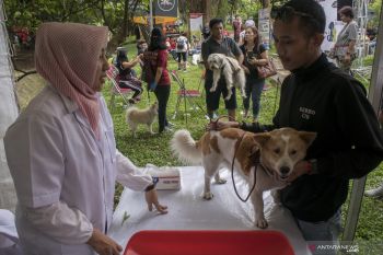 Praktik dokter hewan di Palembang banyak tak miliki izin