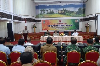 BNPB apresiasi penanaman Cemara Udang di sepanjang Pantai Sumbar