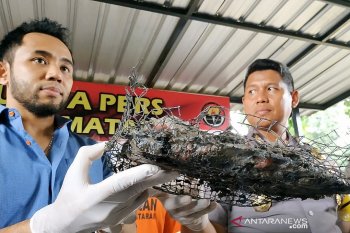 Polisi kejar empu peredaran narkoba Abian Tubuh