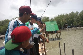 Festival Mancing di Margasari Lampung Timur Diikuti 50 Peserta