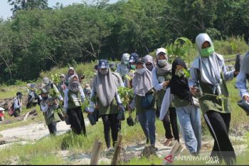 Mahasiswa UR akan tanam 1.000 Mangrove di Sungai Rawa Siak
