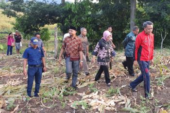 Pemprov jadikan kawasan wisata Lejja sebagai kebun buah percontohan