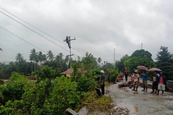 PLN Papua kebut perbaikan tower PLTA Orya pascabanjir Sentani