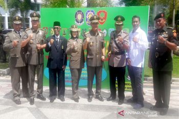 Satlinmas miliki peran penting pada pemilu 2019, kata Sekda Kalteng