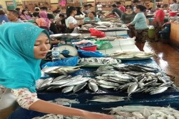 Ekspor perikanan Lampung naik 15,7 persen