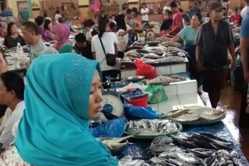 Orang Jepang makan ikan 80-100 kg setahun, Indonesia hanya 50,69 kg