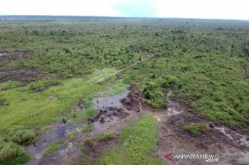 Forestry Ministry arrests suspect in illegal land trade in OKH Jambi
