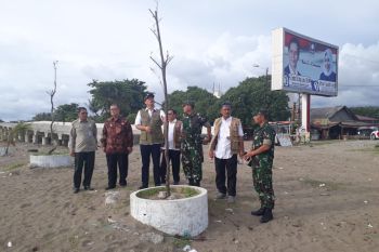Tanam pohon untuk mitigasi bencana di Pantai Padang, ini pesan kepala BNPB