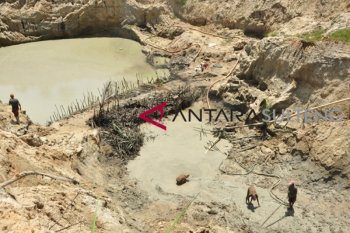 Pemerintah rubah status hutan jadi kawasan pertambangan