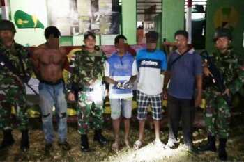 TNI amankan bandar ganja di perbatasan RI-PNG