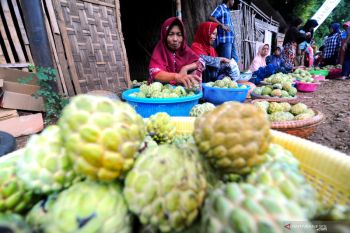 Festival Srikaya Sumenep