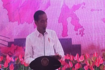 Pemprov Papua: Jokowi akan bertemu pengungsi korban banjir dan kader politiknya