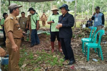 Pendataan kelompok tani Barito Timur agar bantuan tepat sasaran