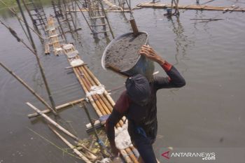 Penambang Pasir Tradisional