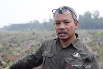 BRG pulihkan vegetasi Cagar Biosfer Giam Siak Kecil