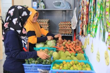 Harga pangan di Mamuju stabil