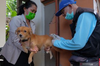 Objek wisata di Pesisir Selatan bebas dari hewan penular rabies