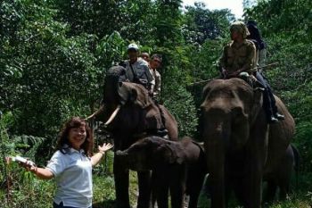 Mendongeng untuk anak tempatan di Hari Hutan