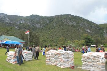 Stok beras di pegunungan Papua aman jelang pemilu