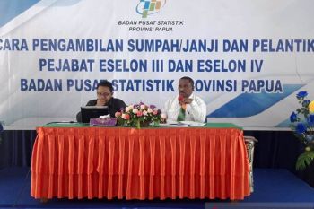BPS: angkutan udara sebabkan kenaikan inflasi Kota Jayapura