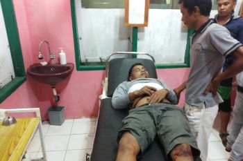 Pengendara diduga mabuk, tabrak seekor kerbau