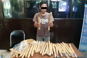 Warga Dasan Agung miliki lima kilogram ganja dibekuk