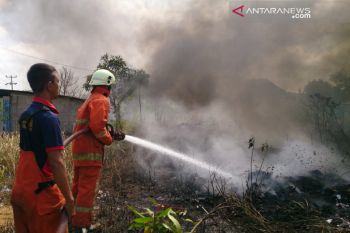 1.072 hektare lahan di Tanjungpinang terbakar