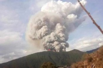 Kebakaran hutan di Korsel memaksa ribuan orang mengungsi