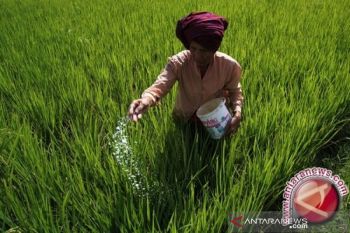 Sulteng optimistis hasil panen petani lebih baik