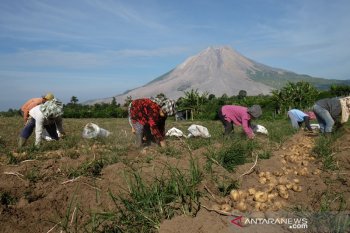 Harus mencoblos untuk kehidupan lebih baik