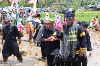 Festival turun ke sawah meriahkan HUT Kabupaten Solok