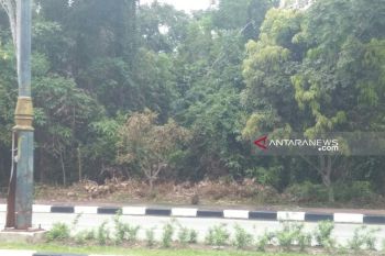 DPRD Siak minta kejelasan lahan di Jalan Raja Kecik