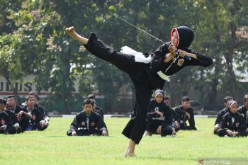 Warga Afrika Selatan semakin mengenal Indonesia, berkat atraksi pencak  silat