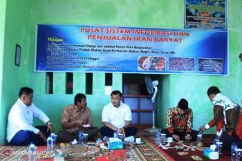 Bupati Dharmasraya: pangan lokal dorong pertumbuhan ekonomi