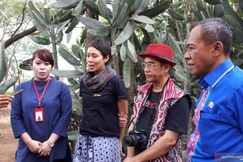 Desainer Indonesia gagas konsep "Green Palu" untuk kerajinan tangannya