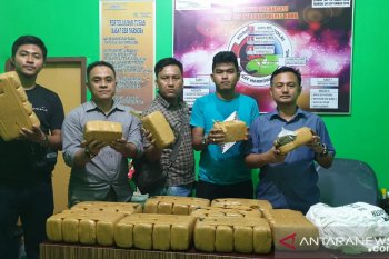 Polisi tangkap sepasang kekasih bawa ganja kering 40 Kg