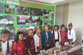 BUMDes di Flores diharapkan bisa kelola usaha kopi