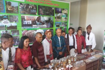 Hanya 781 BUMDes di NTT berstatus aktif