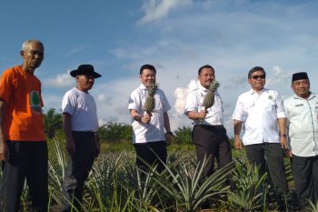 Menyulap bara api jadi sumber ekonomi