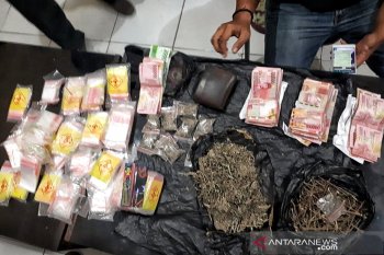 Polres Lombok Utara Amankan 1 kg Ganja Kering dari Gili Trawangan