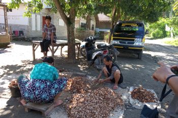 NTP Lampung turun 0,24 persen