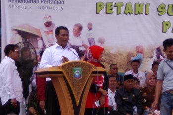 Mentan mendorong Pemkab Pangkep optimalkan lahan tiga dimensi